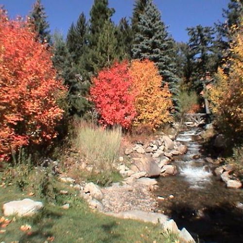 Autumn splendor on the creek.