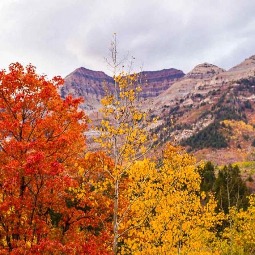 Fall here in Sundance is spectacular.  Another face of Mount Timpanogos.